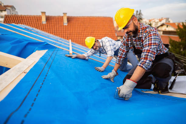 Best Roof Insulation Installation  in Palo Cedro, CA